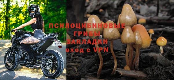 МДПВ Аркадак